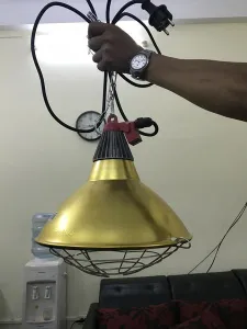 Bộ chao đèn dùng cho heo con